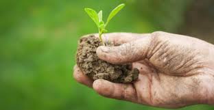 Bando pubblico per l'insediamento dei giovani in agricoltura.